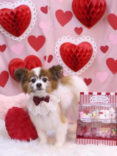 20240217ライムくん